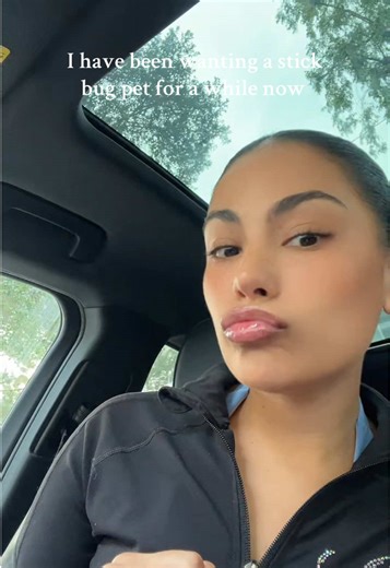 Finding Baby Stick Bugs in the Wild: A Unique Encounter