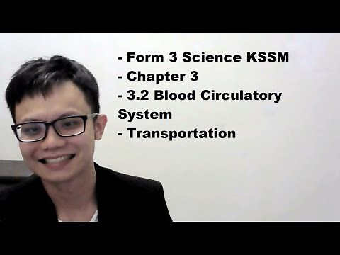 - Form 3 Science KSSM- Chapter 3- 3.2 Blood Circulatory System- Transportation