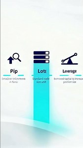 MT5 Forex Course for Absolute Beginners