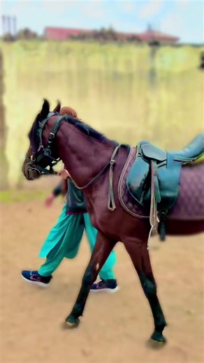 #foryoupageofficiall #foryoupage❤️❤️ #foryoupageofficiall #foryoupage❤️❤️