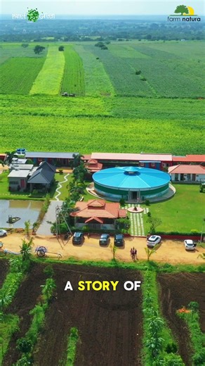 The Power of Desi Cows in Natural Farming | Farm Natura Gaushala Explained #farmnatura #planetgreen