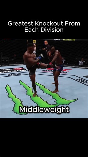 Top Knockouts in Every UFC Division