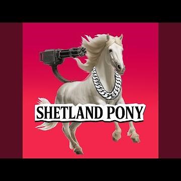 Shetland Pony