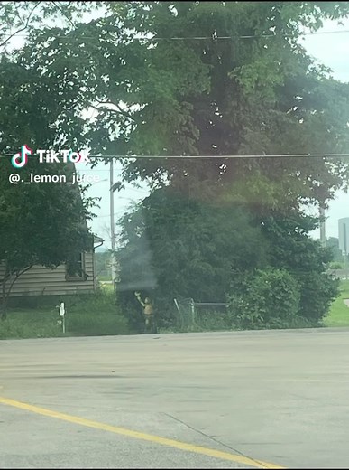 Meet Michelangelo from Teenage Mutant Ninja Turtles