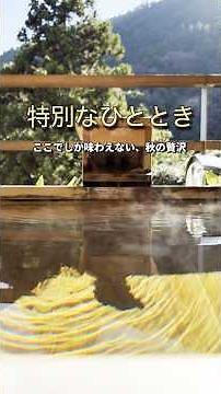 A tranquil and relaxing hideaway in Hakone during the autumn foliage season: Kinnotake Tonosawa