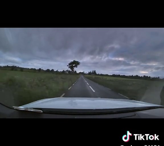 Rhythm is a Dancer Snap! x Hanging Tree [7