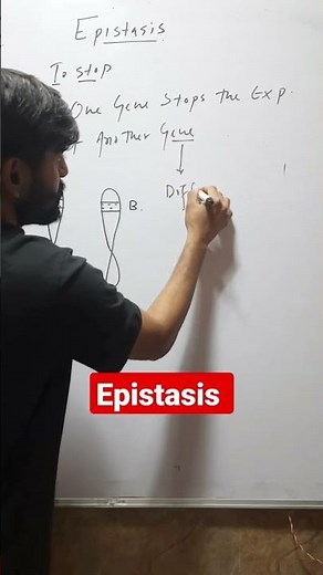 What is Epistasis in Genetics?