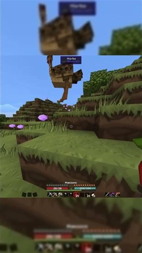 How do you tame an ostrich? #minecraft