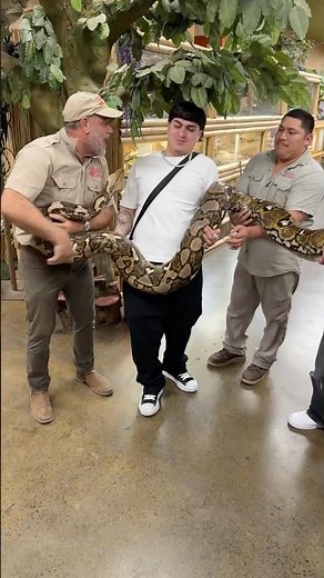 Got the whole crew here to help me handle this Python! 🐍