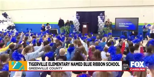 Tigerville Elementary named SC Blue Ribbon School