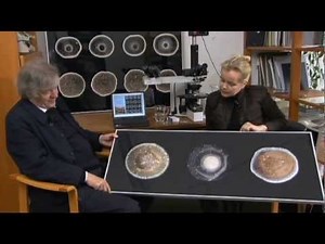 The Mystery of Water - What we know is a drop.