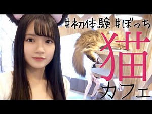 【ひとりぼっち】猫カフェでモフモフしてきた【初体験】
