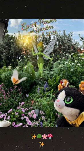 Poppy meets 🧚🏻 Tinkerbelle Epcot ✨🪩