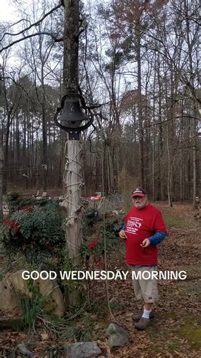 Bobs Bell Rings (@bobsbellrings)’s videos with original sound - Bobs Bell Rings