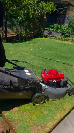 🌿✂️ Green grass, fresh cut — clean, tidy, and honestly can’t complain 💪🍃 Service with a Smile 😃 #FrankTheLawnMowerMan #LawnTransformation #BackyardBliss #SatisfyingLawnCare #BeforeAndAfterLawn MowingSatisfaction LawnTok LawnStripes YardWorkGoals CleanAndGreen MowerMagic BackyardGoals AussieLandscaper GardenCleanup LawnLife MowTime LawnCareAustralia fblifestyle | Frank The lawn Mower Man