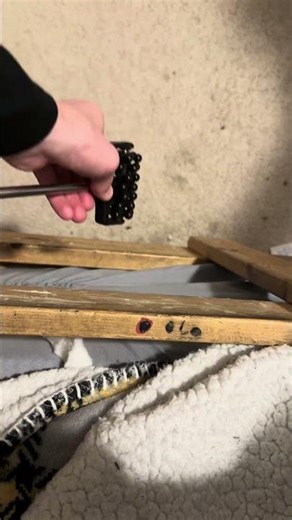 Reviewing back scratcher ￼