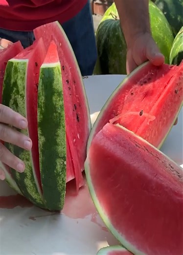 Outdoor Cooking Using a 100 Year Old Village Method! | Village Show