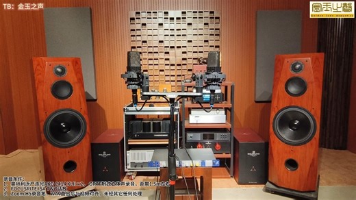 Eton 12-680+ Accuton 990+Bliesma T34B 金玉之声 DIY音箱