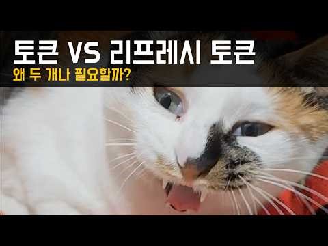 토큰 vs 리프레시 토큰, 왜 두 개나 필요할까?