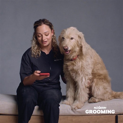 These PetSmart Stylists have never seen these real customer reviews ✨ | PetSmart | Facebook