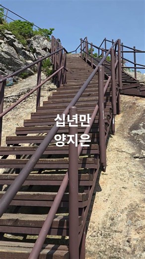 #십년만#양지은#트롯#가요#노래#음악#계룡산