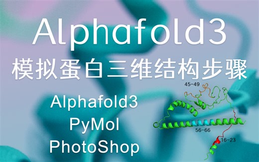 AlphaFold3+PyMol模拟三维结构步骤