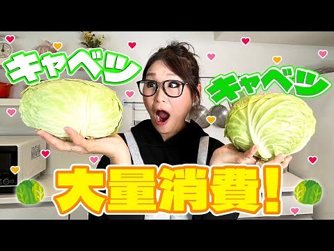 【簡単】キャベツの大量消費レシピ！曽根家秘伝のキャベツサラダも！