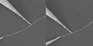 Cleanliness Is Close to Godliness for Carbon Nanotubes