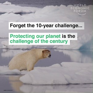 20% of the Amazon rainforest has already been destroyed. Learn more about the value of nature: https://wef.ch/2ERe6S0 | World Economic Forum