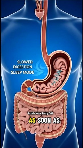 Sleeping Right After Eating? Here’s What Happens Inside Your Body