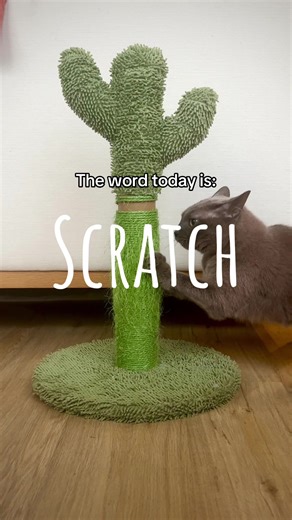 What will you come up with? Post your take on dibil! #dailyphotochallenge #photochallenge #creativechallenge #shareyourtake #dibil