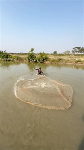 Traditional Cast Net Fishing for Giant Fish in Wild River#CastNet #GiantFish #WildFishing #Fishing