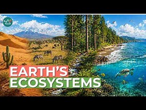 Environment Explained: Types and Ecosystems on Earth