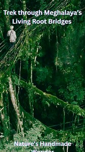 5.9K views · 158 reactions | When you think of India, the first image that comes to mind is of the Taj Mahal — a timeless symbol of ethereal beauty. But beyond its marble walls lies an entire nation of hidden treasures waiting to be explored! Discover the real India — where every fort has a tale, every street hums with life, and every sunrise feels like a new beginning. #incredible_india Ministry of Culture | All India Radio News | Facebook