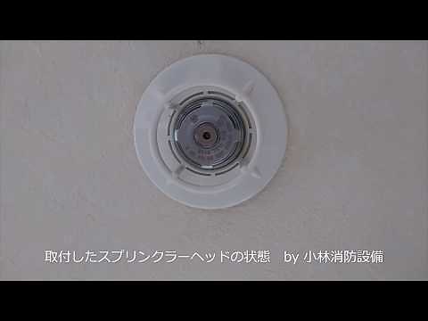 取付したスプリンクラーヘッドの状態（SPヘッドとSPヘッド用ガード） sprinkler equipment ～小林消防設備 福岡県豊前市 全類消防設備士 第二種電気工事士 経営学修士～