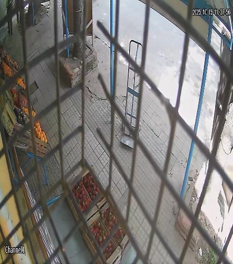 COLÓN: TENIA ANTOJO DE NARANJA Y SE LA LLEVO SIN PEDIR PERMISO 🫢😮 | El Faro informa