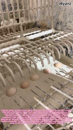 machine processing eggs into white batter mix | daily farm work routine