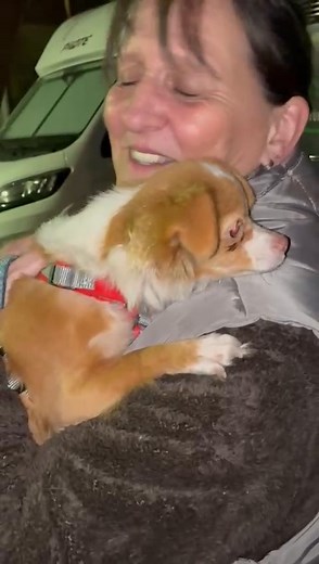 17K views · 837 reactions | Amy einfach eine Zuckerschnute. Kein Vergleich mehr ... Als Sie und die anderen ins Tierheim kamen, waren sie voller Angst und Panik. Jetzt spürt man davon kaum noch etwas . Danke an alle Beteiligten vor Ort, ihr leistet großartiges.珞 | Tierwald e.V. | Facebook