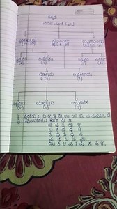 KANNADA BASIC GRAMMAR 🌏