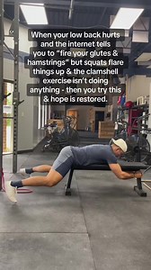 Hammies will be singin! #lowbackpainexercises #hamstringworkout #backpainstretch | Dr. Matt Wiest