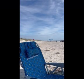 Peaceful seaside view under sunny skies in Huntington Beach State Park, South Carolina, USA