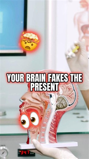 Your Brain Is Always Slightly Behind Reality 🤯🧠 #sciencefacts #didyouknow #facts