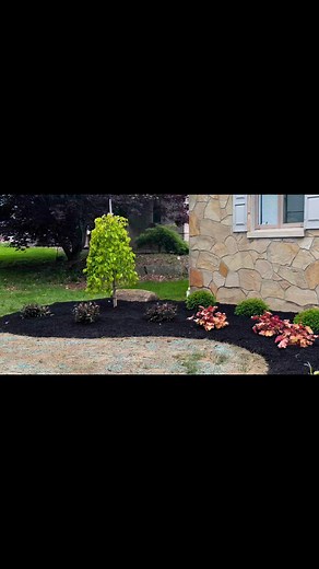 Creative Landscape by Design on Reels