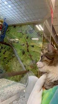 I got to see birds today 😸