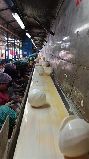 The alarm goes off. Not a wake-up call— a battle signal. No armor. No weapons. Just this body. No retreat. No excuses. Fatigue locked away. Pain ignored. Today, we’re back in combat mode. Not to win— but to survive. #fypreels #reels #workerstory #workingclass #workout | Frankie Janis