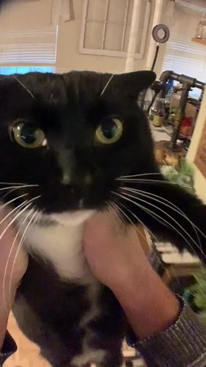 Dingus soup. #dingussoup #thisdingus