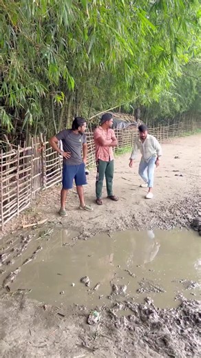 Exploring British and French Celebrity Culture