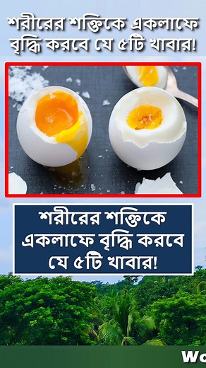 450K views · 7.8K reactions | শরীরের শক্তিকে একলাফে বৃদ্ধি করবে যে ৫টি খাবার  #reelsfb #foryoupage #tips #food #viralreels #reelsvideo #reelsviral #Reels #fyp #trendingreels | World Data Knowledge | Facebook