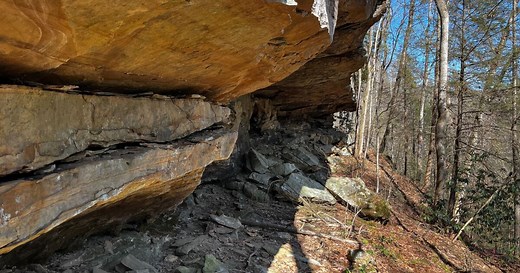 Climbing group makes historic land acquisition in the Red River Gorge