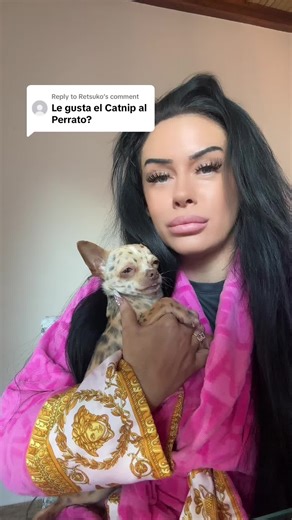 Lilz Bullz Official on TikTok